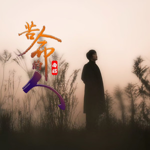 苦命的人