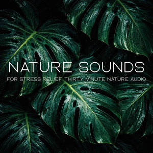 Nature Sounds for Relaxation Thirty Minute Session