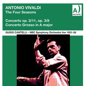 The Four Seasons, Violin Concerto in G Minor, Op. 8 No. 2, RV 315 "Summer":I. Allegro non molto (Live)