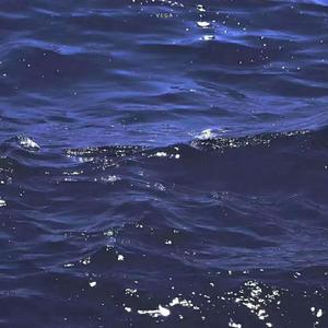 遗憾留在沈阳站