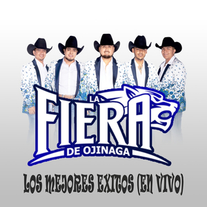 Los Mejores Exitos (En Vivo)