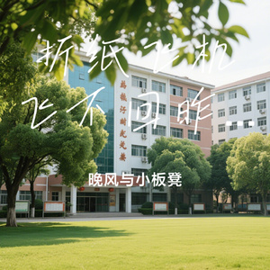 折纸飞机飞不回昨天