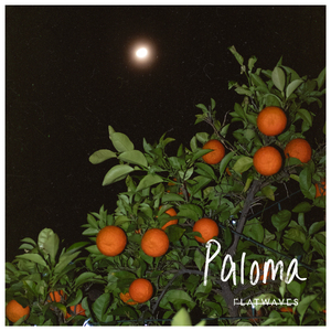 Paloma