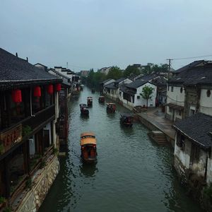 夏栖