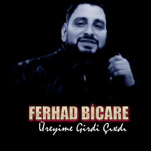 Üreyime Girdi Çıxdı