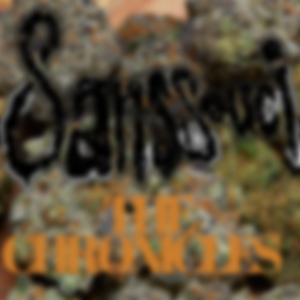 10-4.20 (Heavy Version)