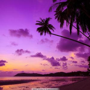 乖乖好怪*^____^*(Prod.by 4Hunnid)