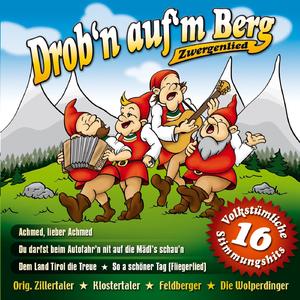 Drob'n auf da Alm