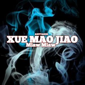 XUE MAO JIAO BREAKBEAT