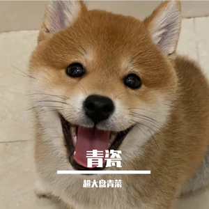 紫藤花下梦初醒