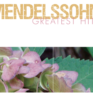 Capriccio brillant in B Minor, Op. 22:I. Andante