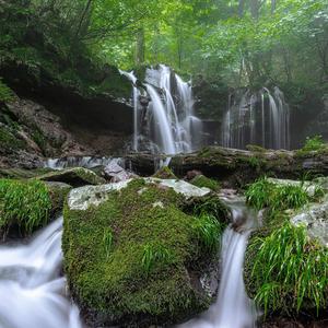 沉浸自然之声（八音盒）