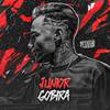 Junior Gobira - Novinho Charmoso (Remix)