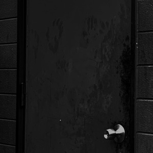 愛と憎しみ (feat. 花隈千冬)