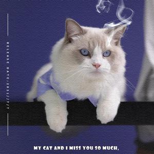 [FREE] “我是傻瓜“—Melodic Rap Beat