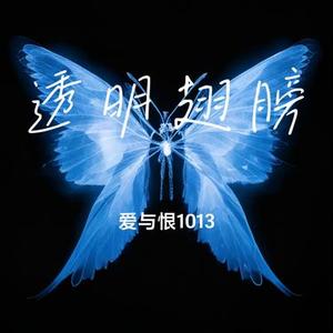 透明翅膀