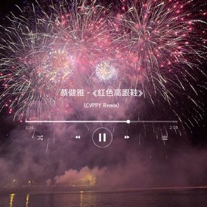 蔡健雅-红色高跟鞋（CVPPY / 再难到从前 remix）