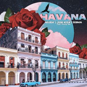 Havana (feat. Young Jae)