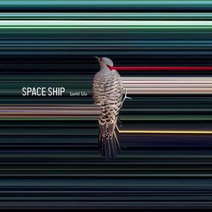 Space Ship