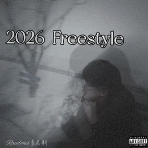 南北结合freestyle