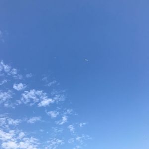 孩子你为何在夜半哭泣 伴奏