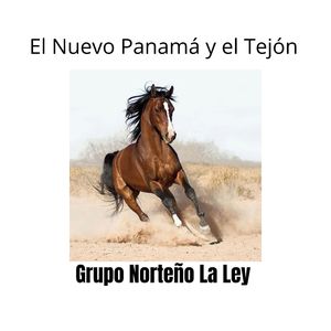 El Nuevo Panamá y el Tejón