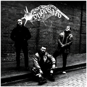 Завалю не завалю