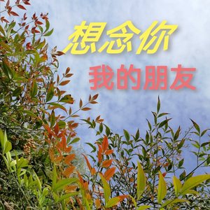 想念你我的朋友