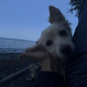 everything feels like a copy of a copy