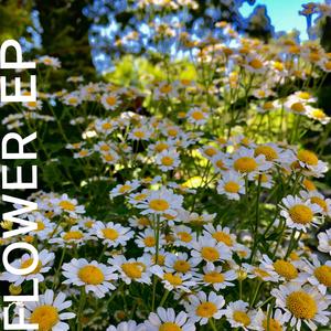 тур (ускорить)