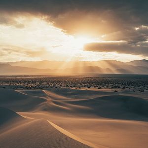 多想在平庸的生活拥抱你