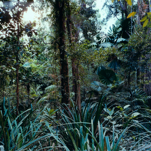 According to the Sounds of Anonymous Hives