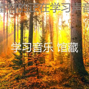 诗意的在家里工作节奏