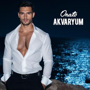 Akvaryum (version 1)