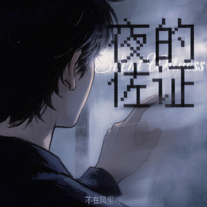 夜的佐证Silent Witness