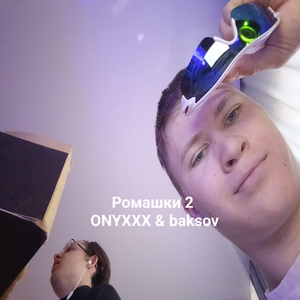 Ромашки 2