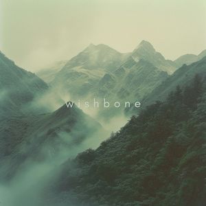 Wishbone