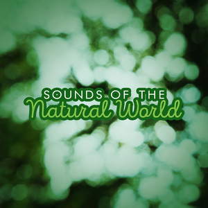Natural Sounds