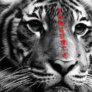 虎口脱险（翻自 老狼）（Cover 老狼）