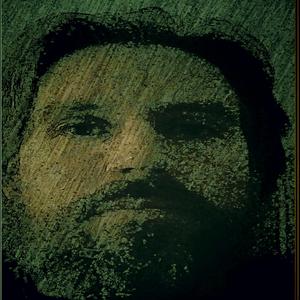 Behind Window Leaves Fall