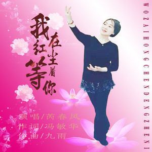 我在红尘等着你