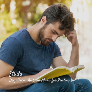 Ambient Noise for Deeper Concentration