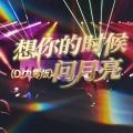 想你的时候问月亮 (DJ九零版)