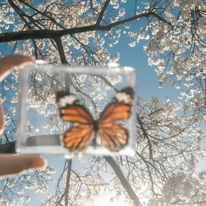 永不失联的爱_片段版