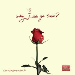 Why I No Go Love (Speed Up)