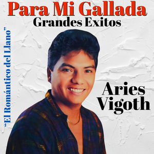 Vestida de Garza Blanca