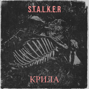 S.t.а.l.k.e.r