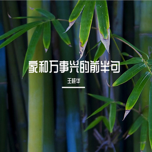 卡也空空兜也空空穷的快发疯