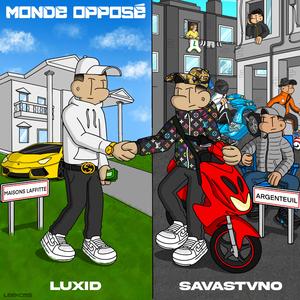 Dans ma Werss (feat. Savastvno)