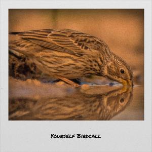 Yourself Birdcall